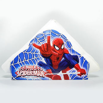 Imagen de Hombre Araña Servilletero 15  Servilletas