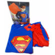Imagen de Disfraz Superman Infantil