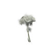 Imagen de Rosa Goma Eva 4 cm. x 6