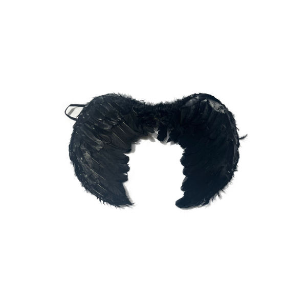 Imagen de Alas Angel Plumas