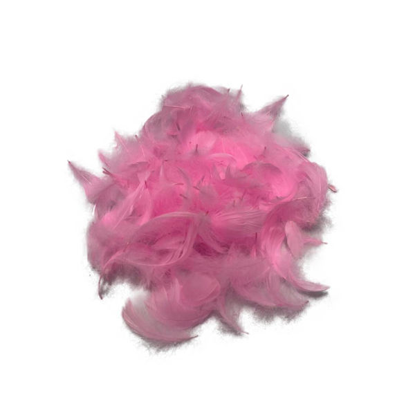 Imagen de Pluma Mediana Bolsa 10 grs.