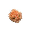 Imagen de Ramo  7  Gerbera Mini Pastel