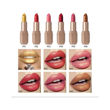 Imagen de Lapiz Labial Yabaolian Y0116