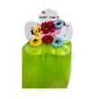 Imagen de Accesorios Primavera