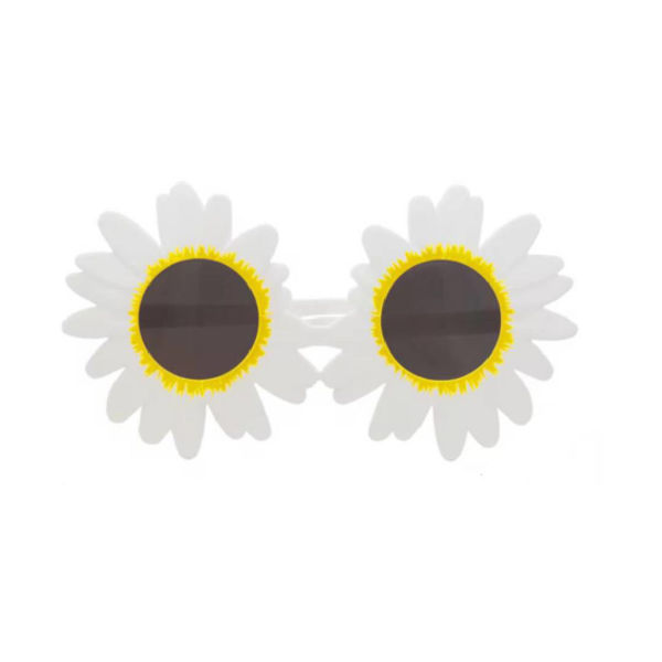 Imagen de Lentes Margaritas