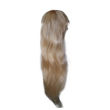 Imagen de Peluca Larga Lacia Color