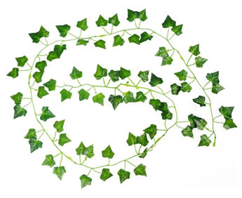 Imagen de Guia Hiedra 2,35 m. Hoja Chica