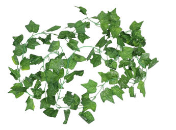 Imagen de Guía Hiedra 2 m.