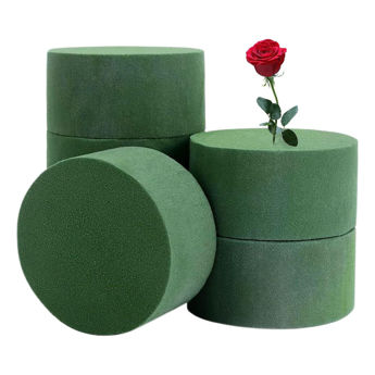 Imagen de Oasis Redondo 20 x 8 cm