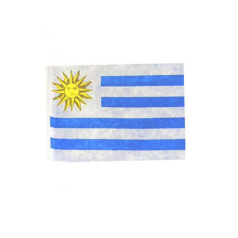 Imagen de Bandera Uruguay Ttn 50 x 35 cm. de Corte